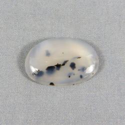 Montana Agate Cabochon