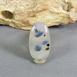 Montana Agate Cabochon