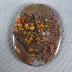 Priday Plume Agate Cabochon
