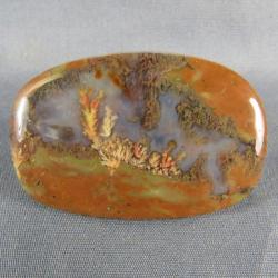 Priday Plume Agate Cabochon