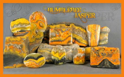 Bumblebee Jasper