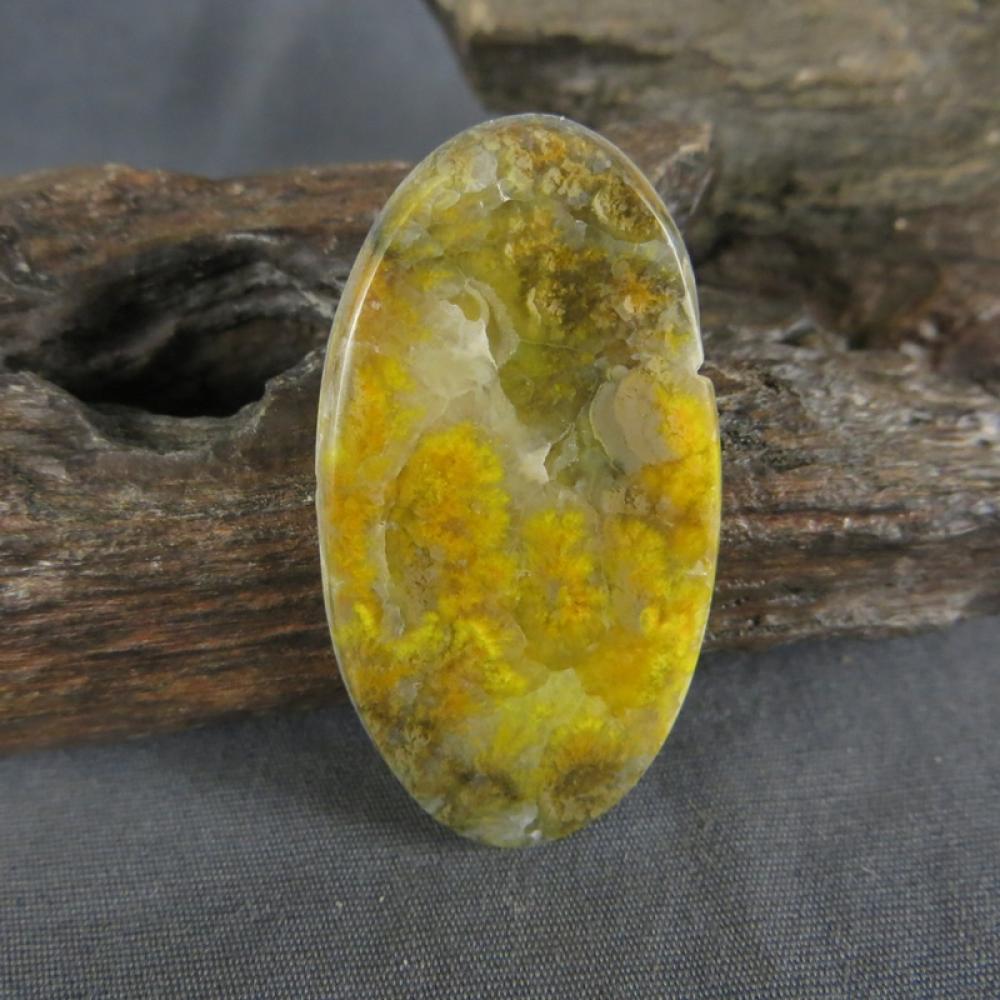 Bumblebee Jasper Cabochon
