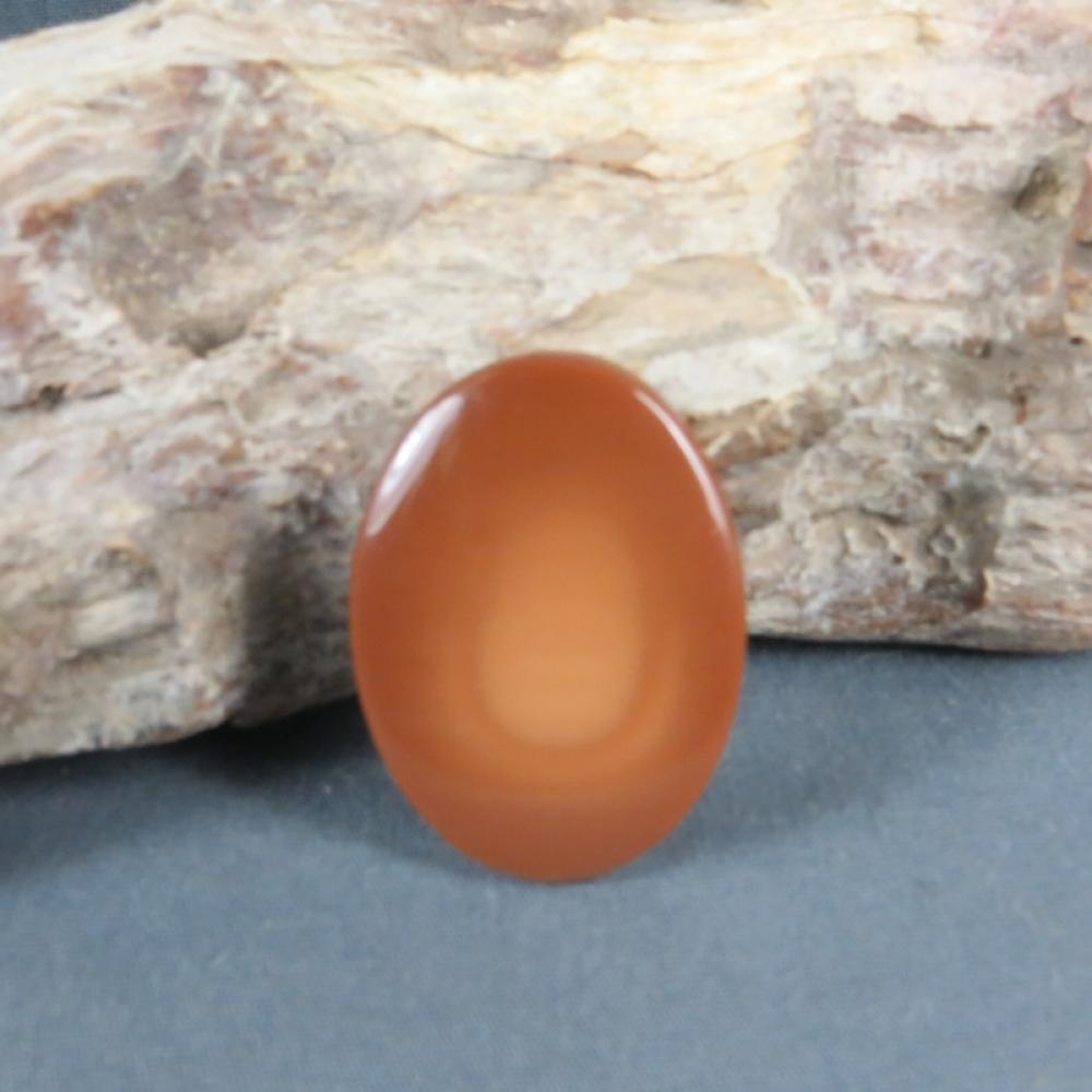 Bruneau Jasper Cabochon
