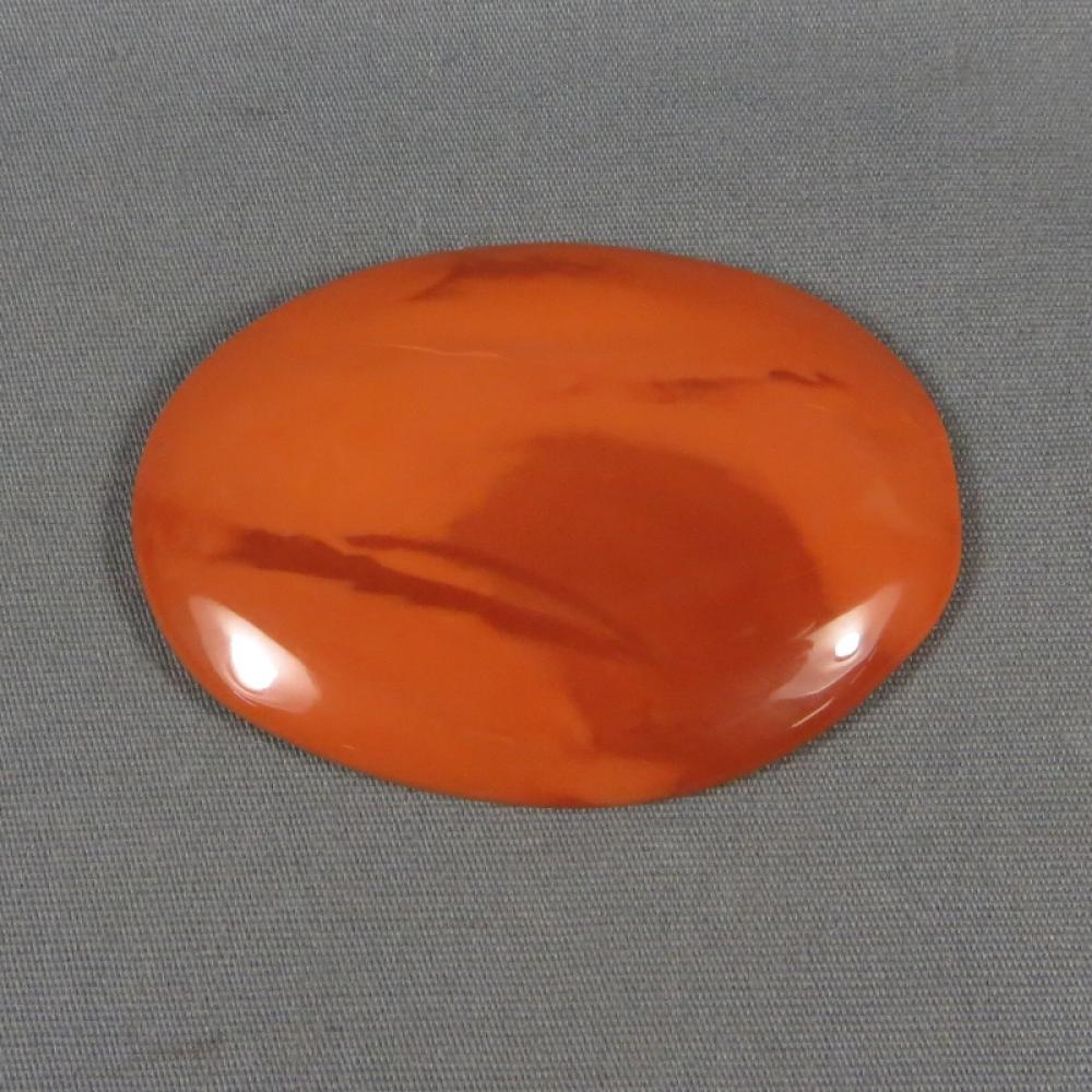 Bruneau Jasper Cabochon