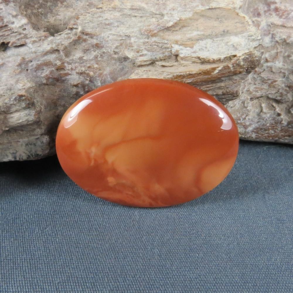 Bruneau Jasper Cabochon