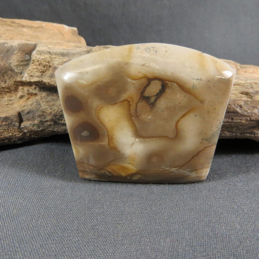 Biggs Picture Jasper Cabochon