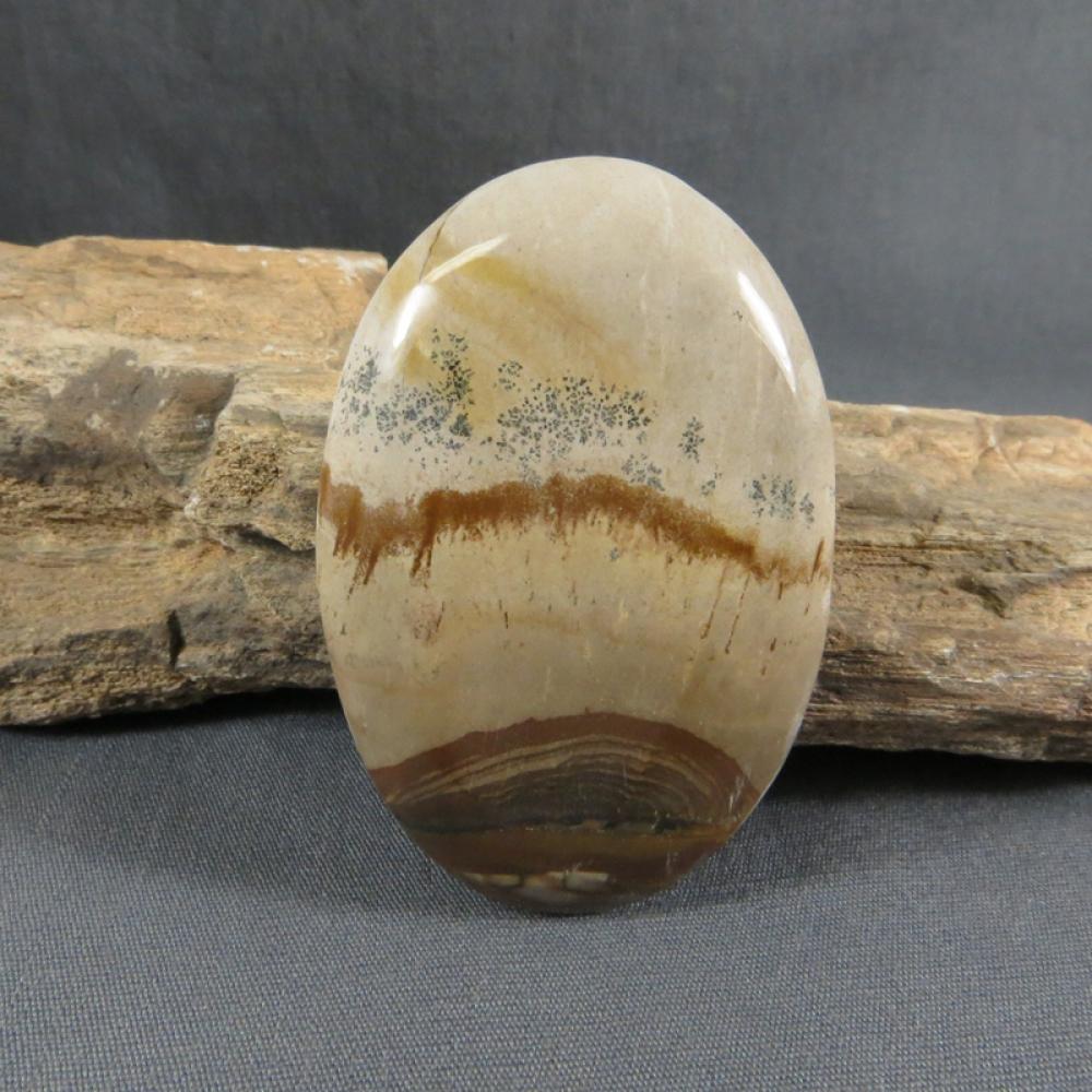 Bigg Picture Jasper Cabochon