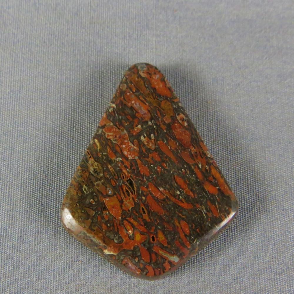 Dinosaur Bone Cabochon