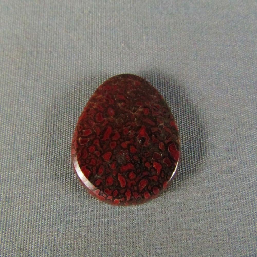 Dinosaur Bone Cabochon
