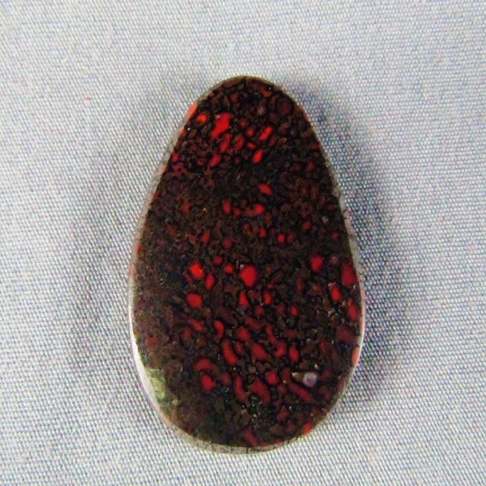 Dinosaur Bone Cabochon