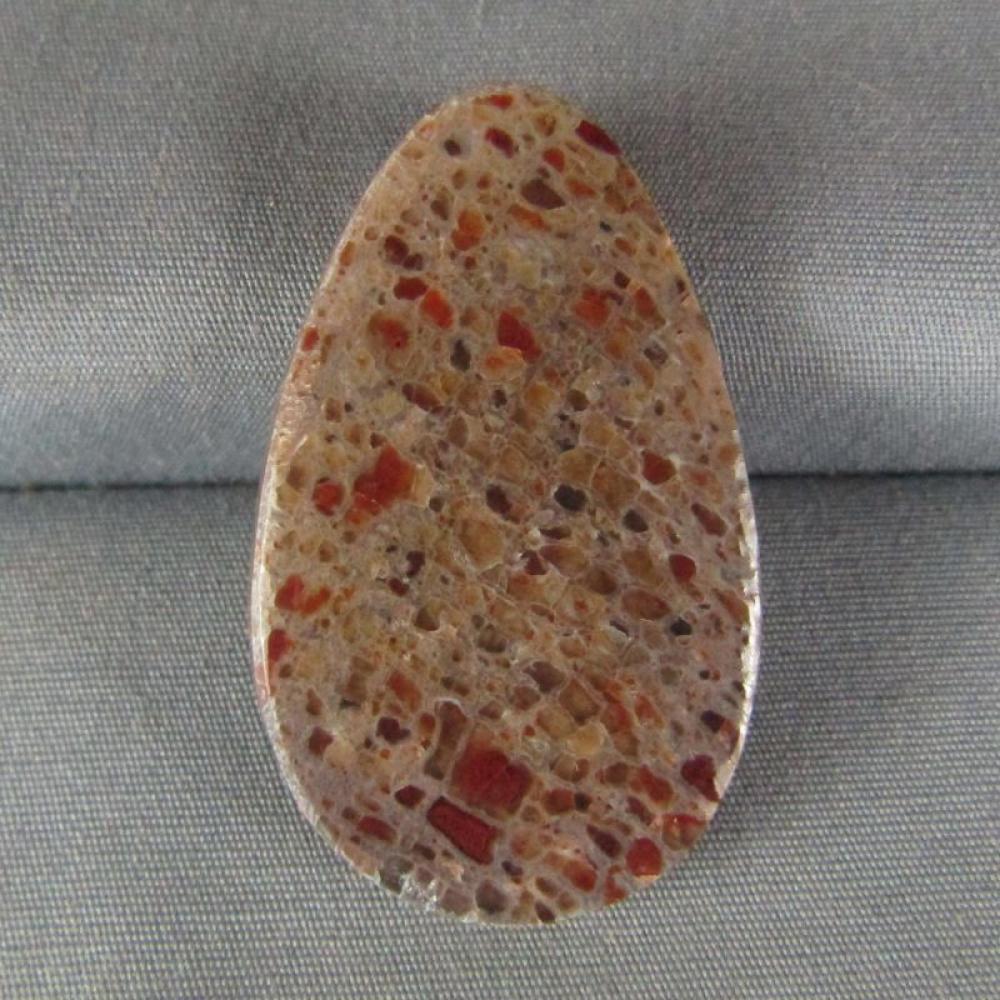 Dinosaur Bone Cabochon