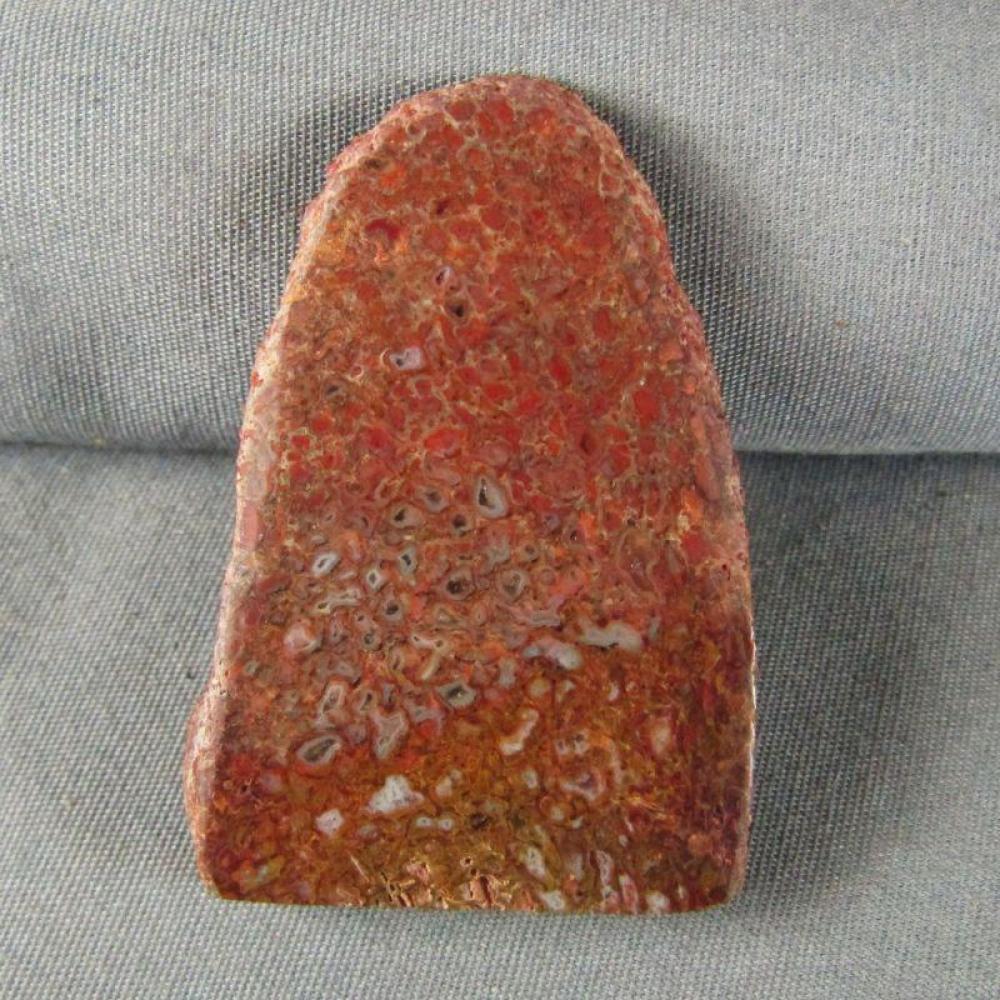 Dinosaur Bone Specimen cabochon