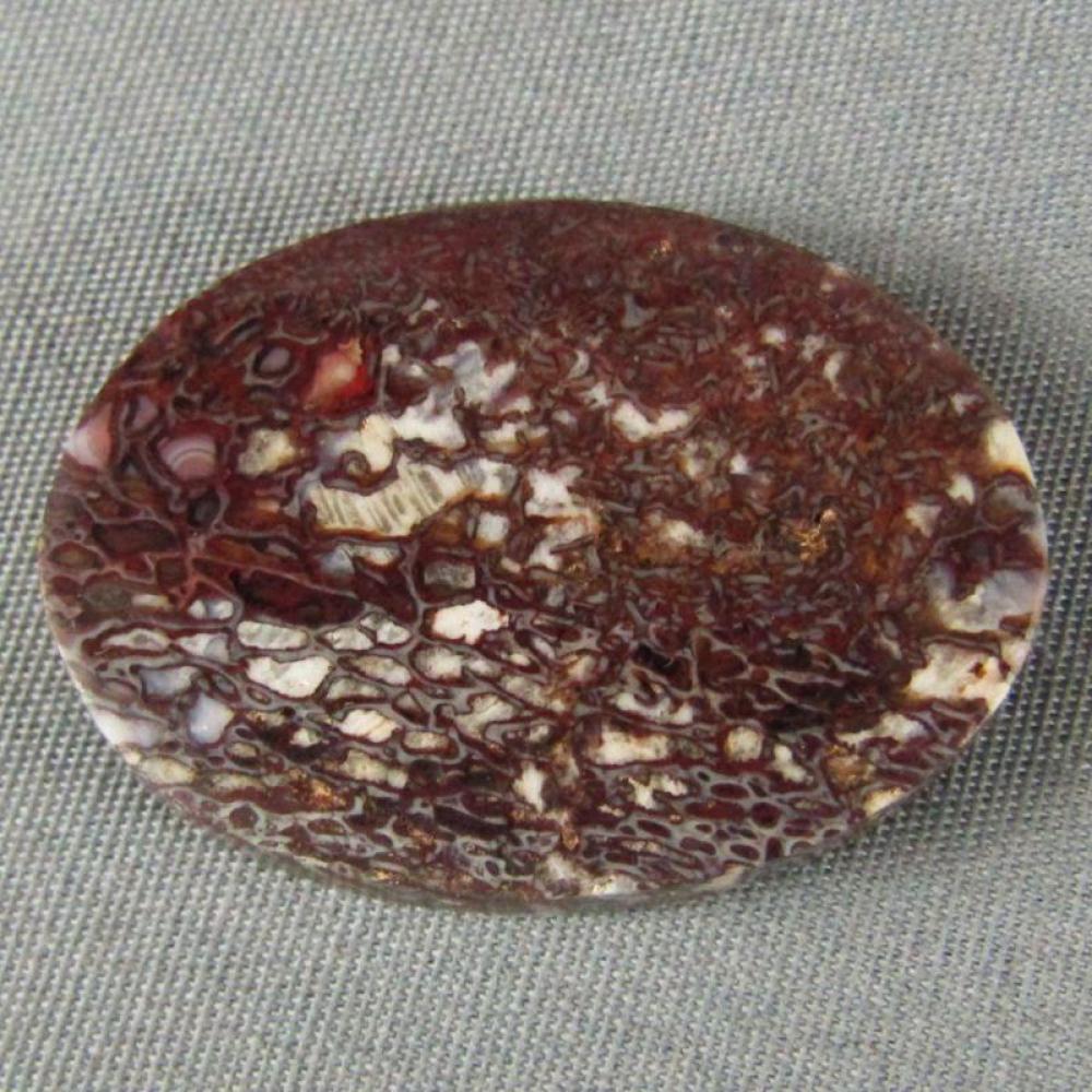 Dinosaur Bone Cabochon