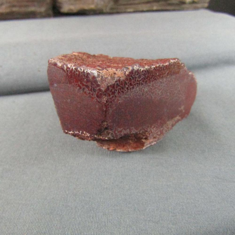 Dinosaur Bone Specimen