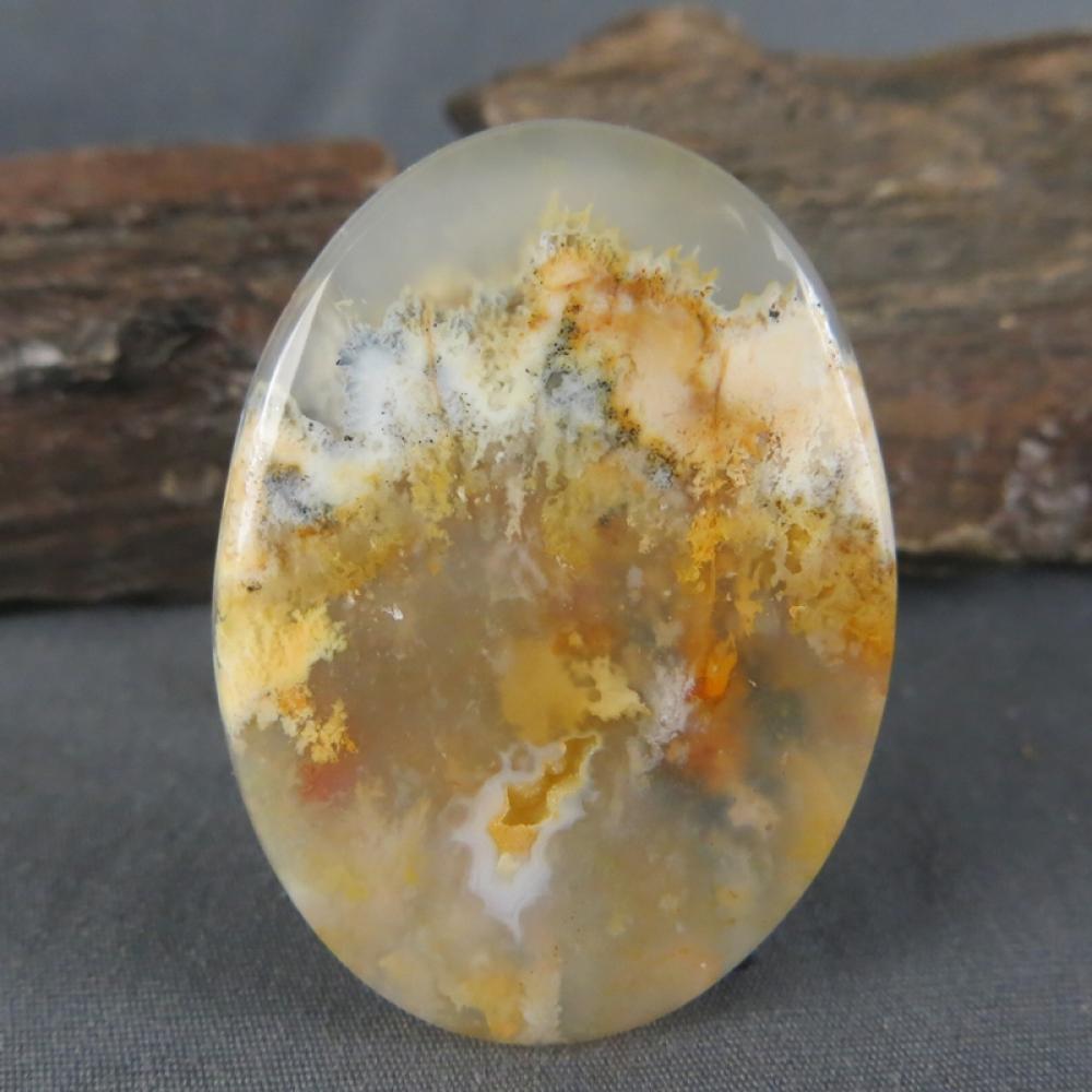 Regency Rose Plume Agate Cabochon