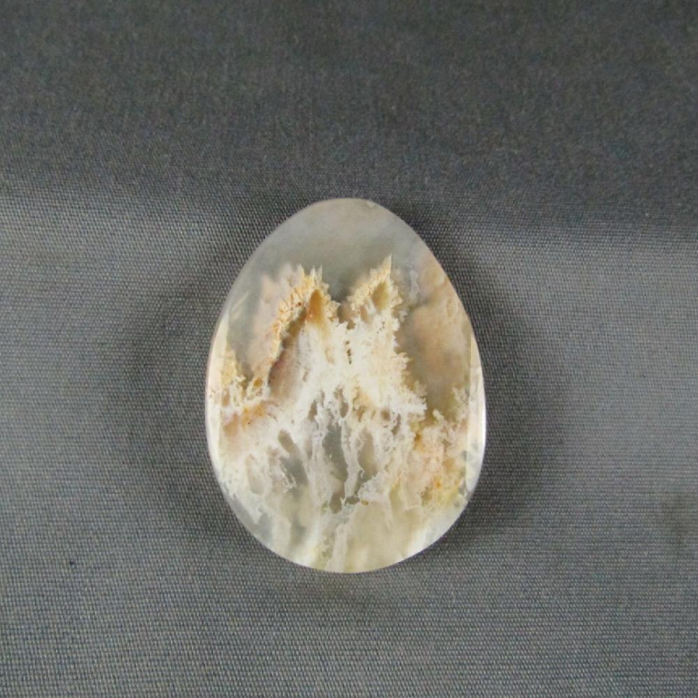 Graveyard Point Plume Agate Cabochon