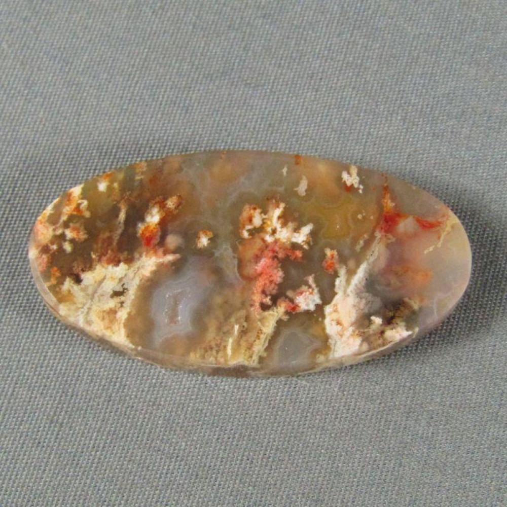 Graveyard Point Plume Agate Cabochon