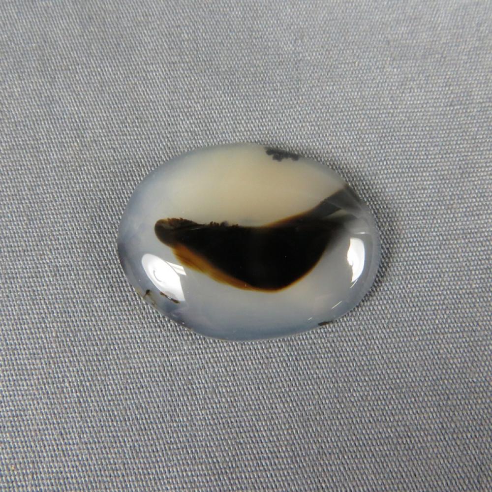 Montana Agate Cabochon