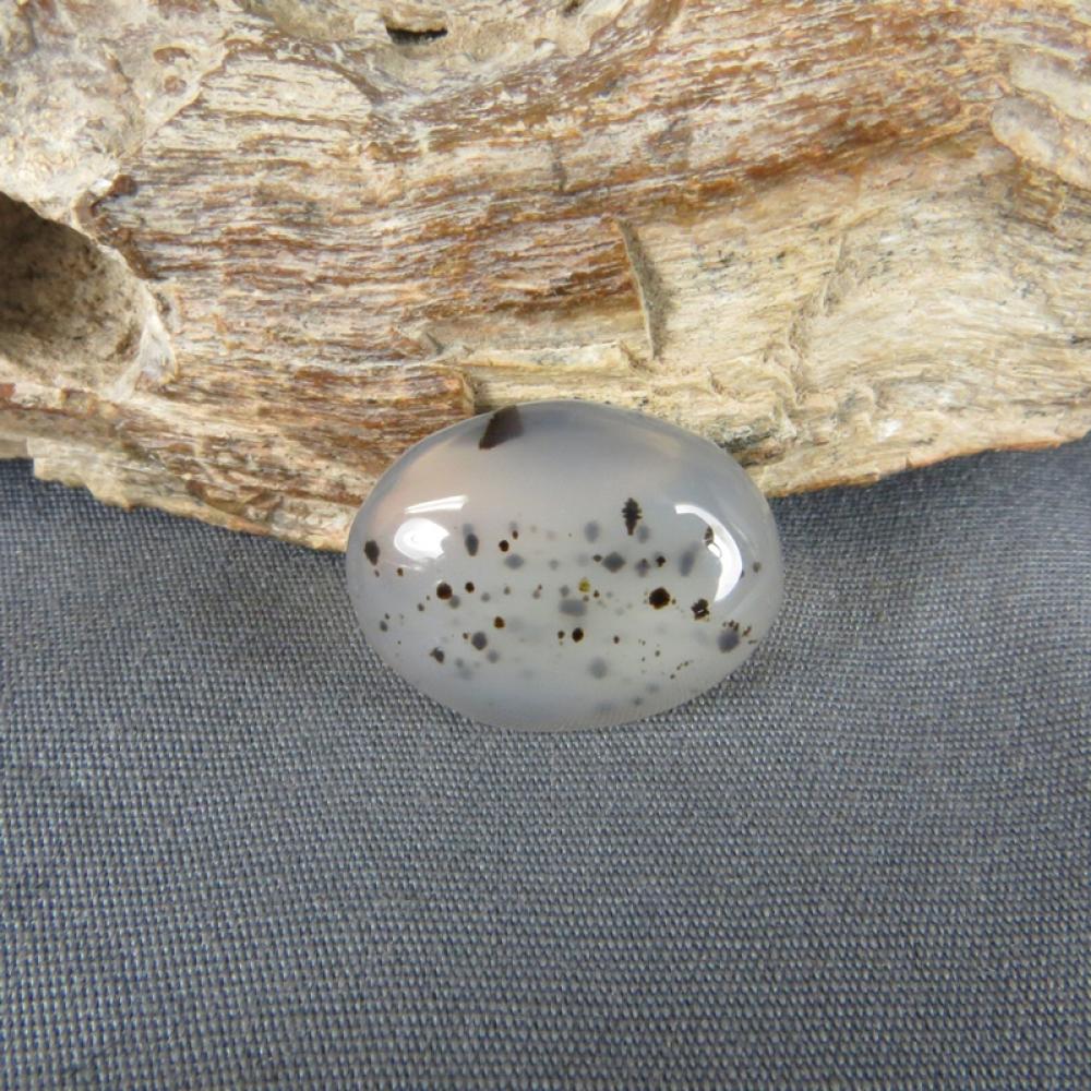Montana Agate Cabochon
