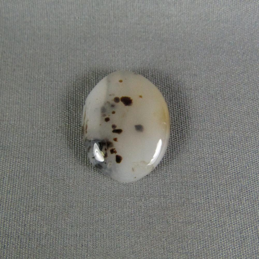 Montana Agate Cabochon