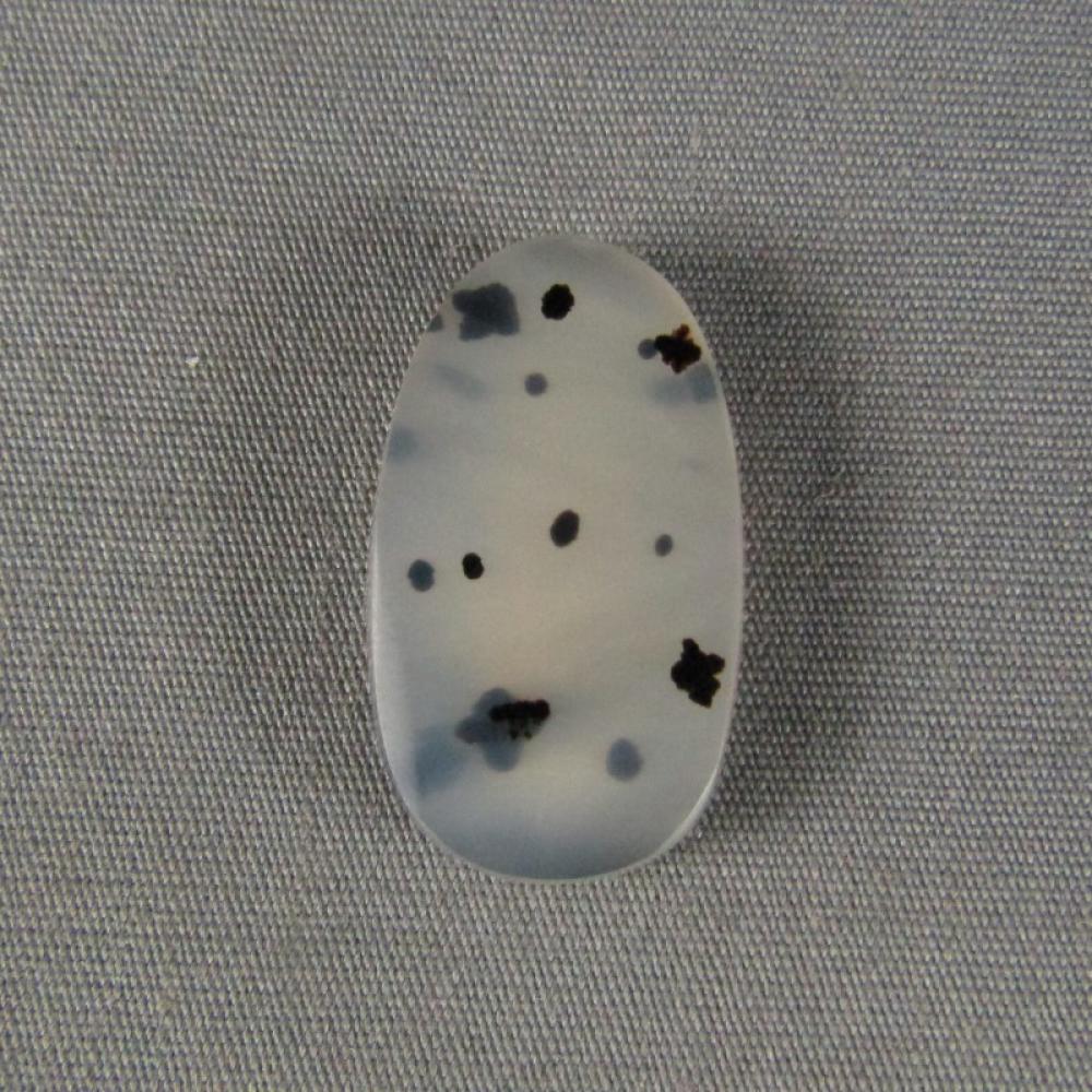 Montana Agate Cabochon