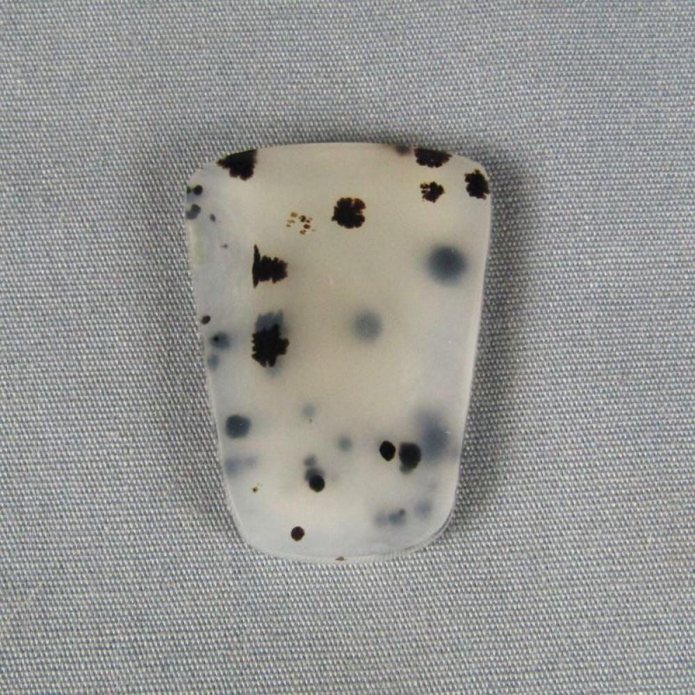 Montana Agate Cabochon