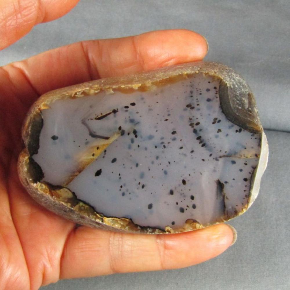 Montana Agate Polished Half