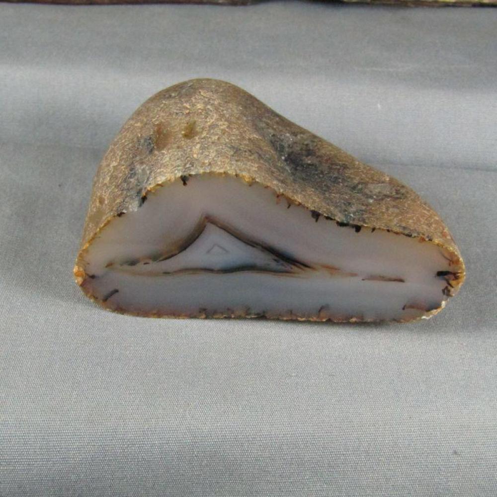 Montana Agate Polished Half