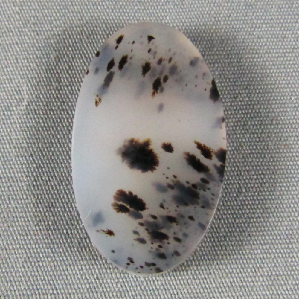 Montana Agate Cabochon