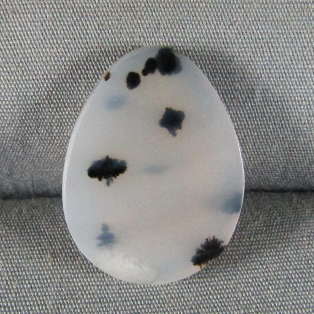 Montana Agate Cabochon