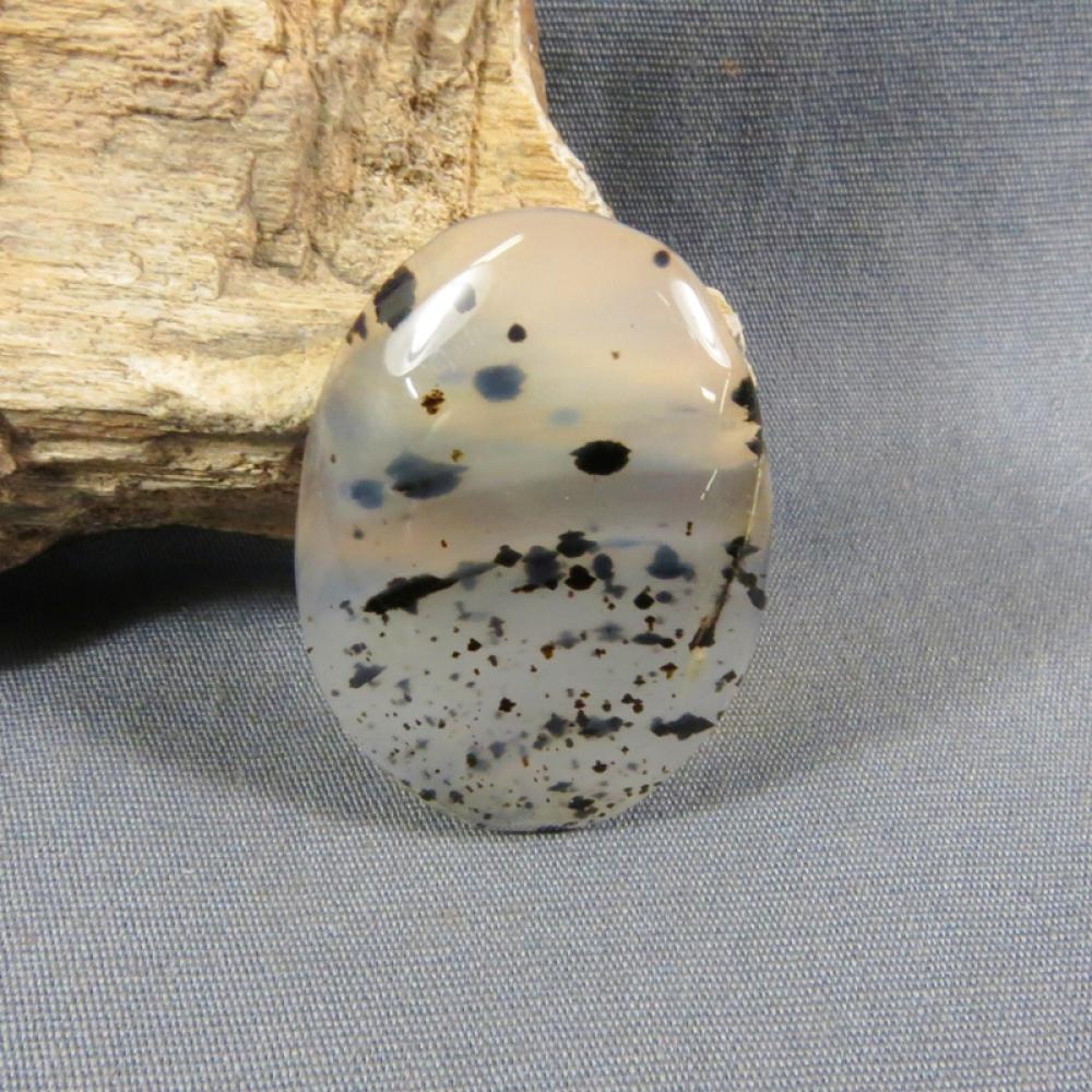 Montana Agate Cabochon