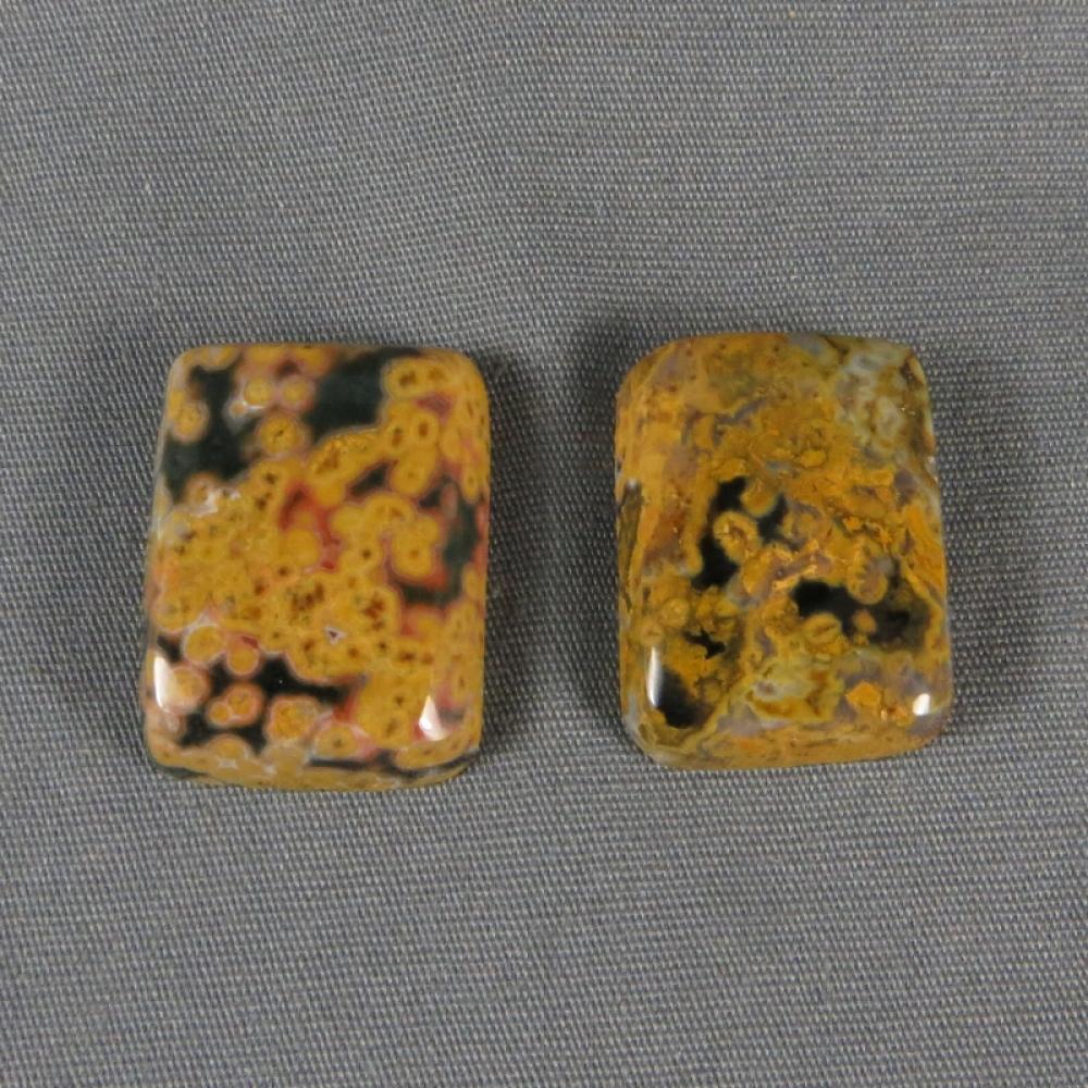 Ocean Jasper Cabochon PAIR