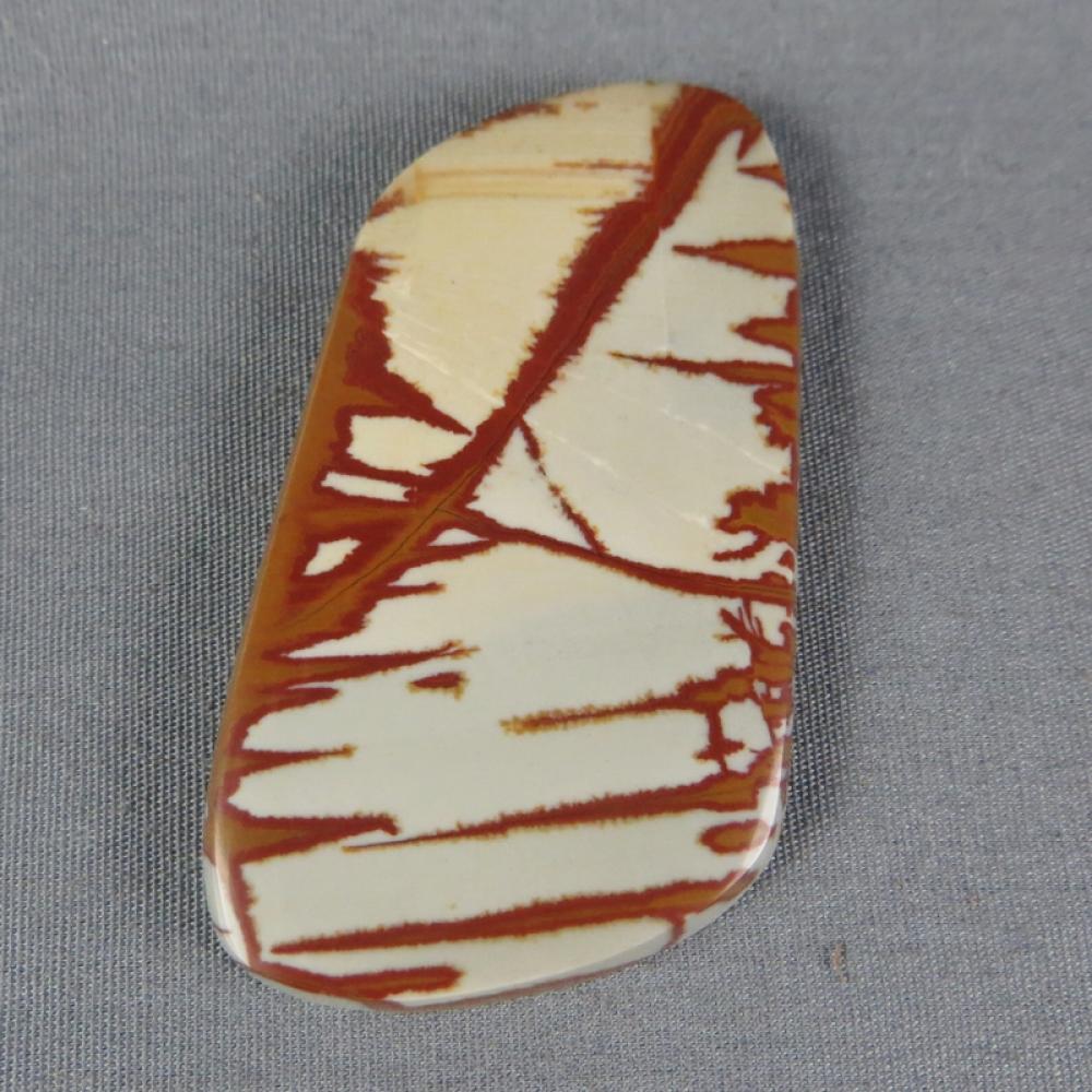 Owyhee Picture Jasper Cabochon
