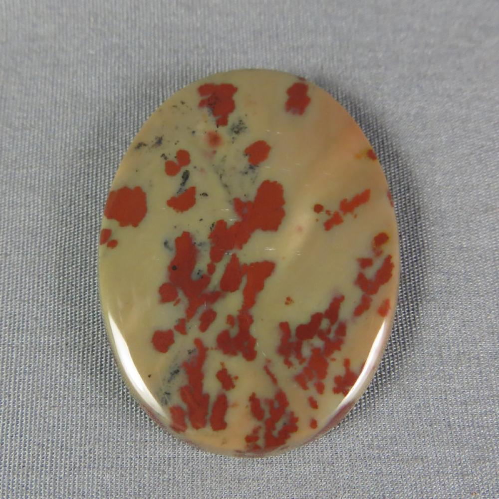 Owyhee Picture Jasper Cabochon