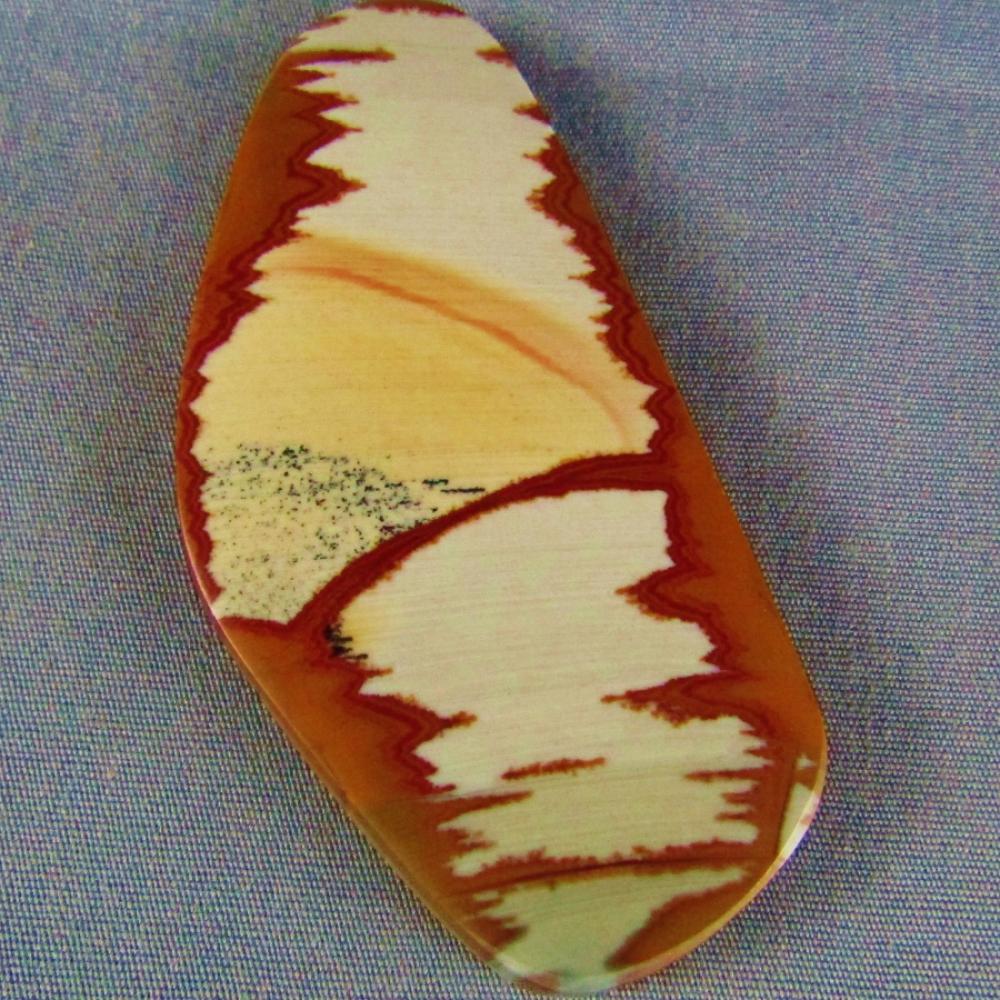 Owyhee Picture Jasper Cabochon