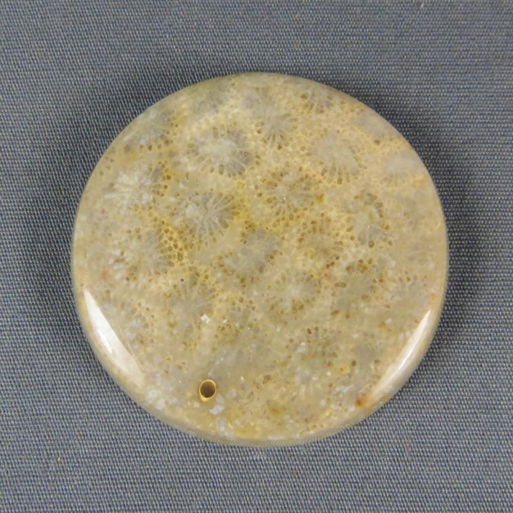 Indonesian Fossil Coral Cabochon