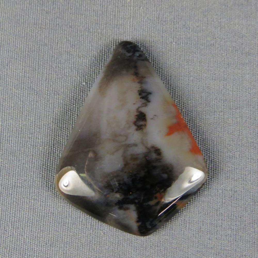 Petrified Wood Cabochon