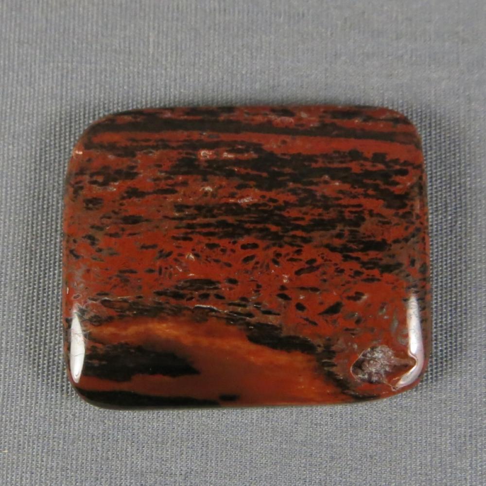 Petrified Wood Cabochon
