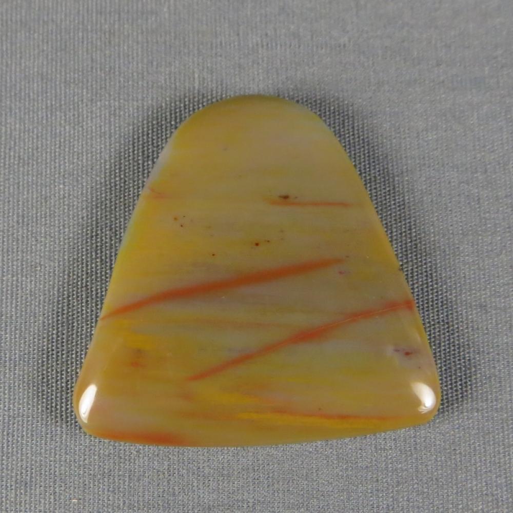 Petrified Wood Cabochon