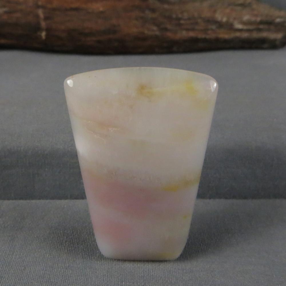 Petrified Wood Cabochon