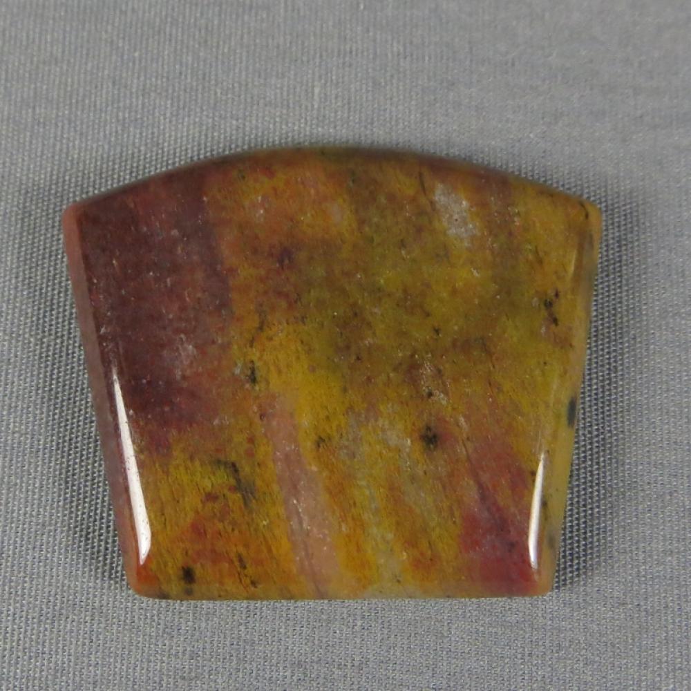 Petrified Wood Cabochon