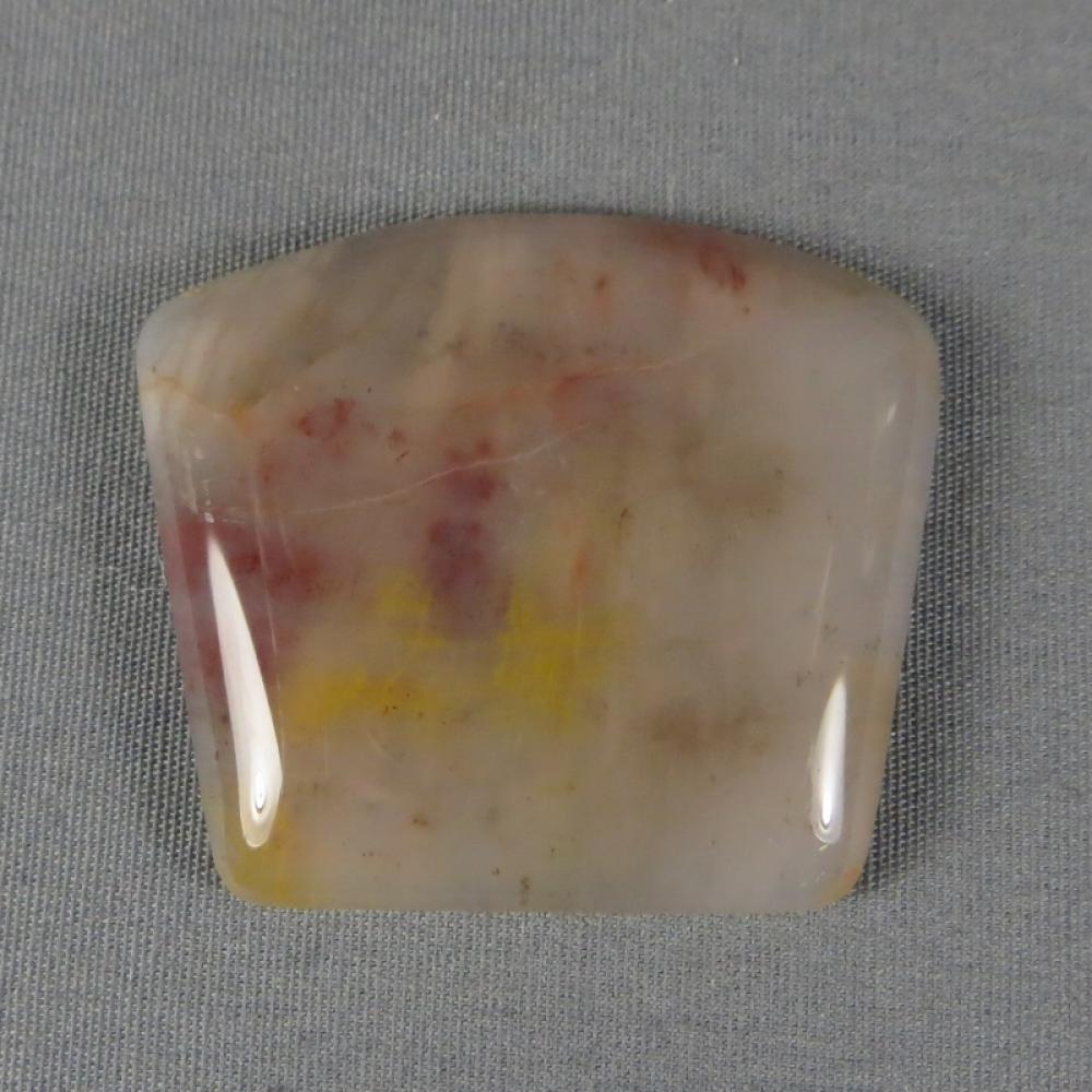 Petrified Wood Cabochon