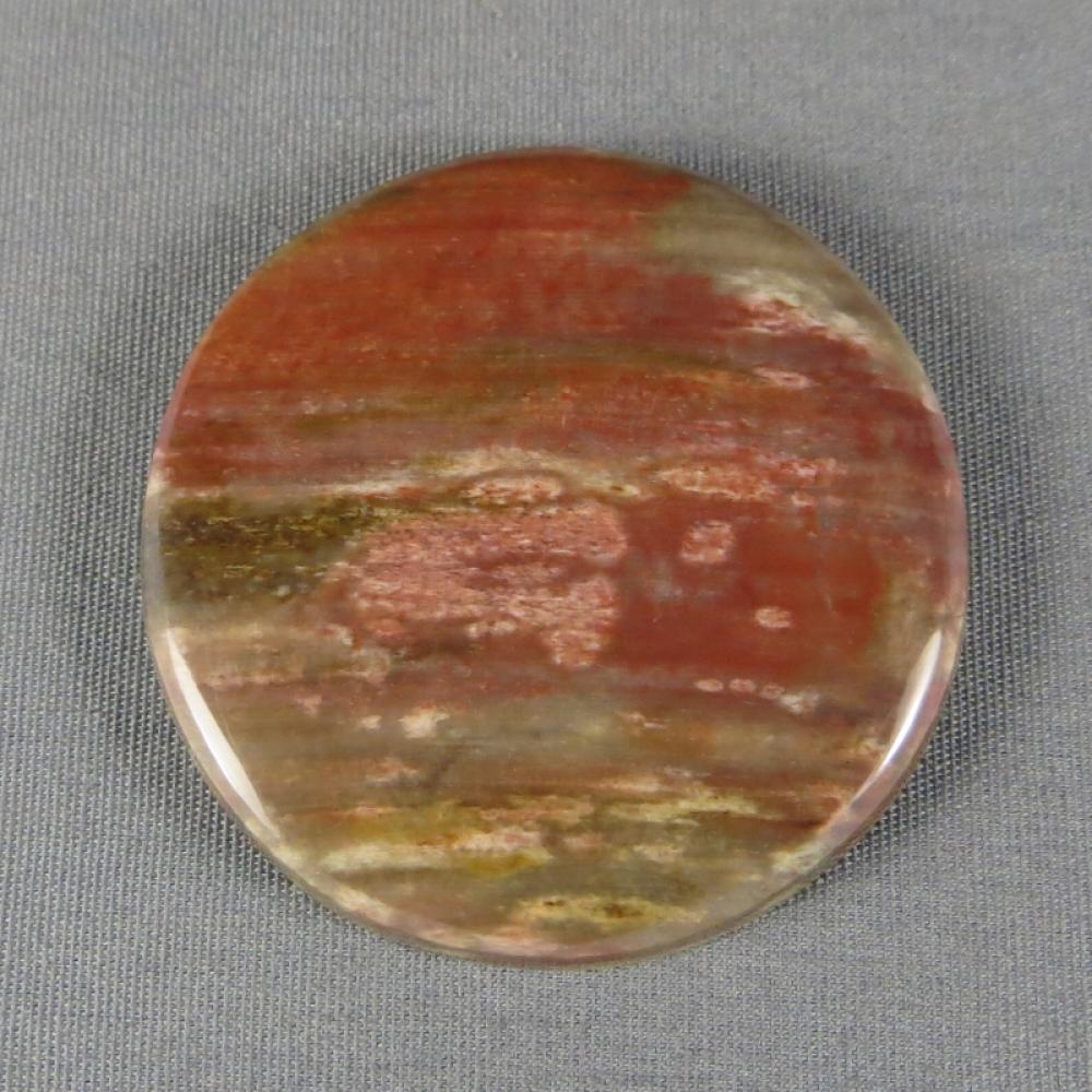 Petrified Wood Cabochon