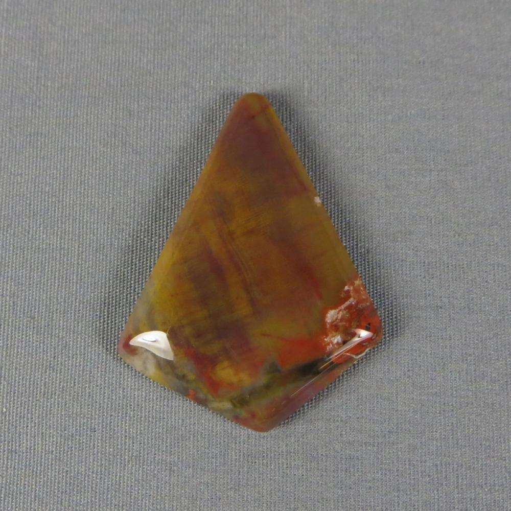 Petrified Wood Cabochon