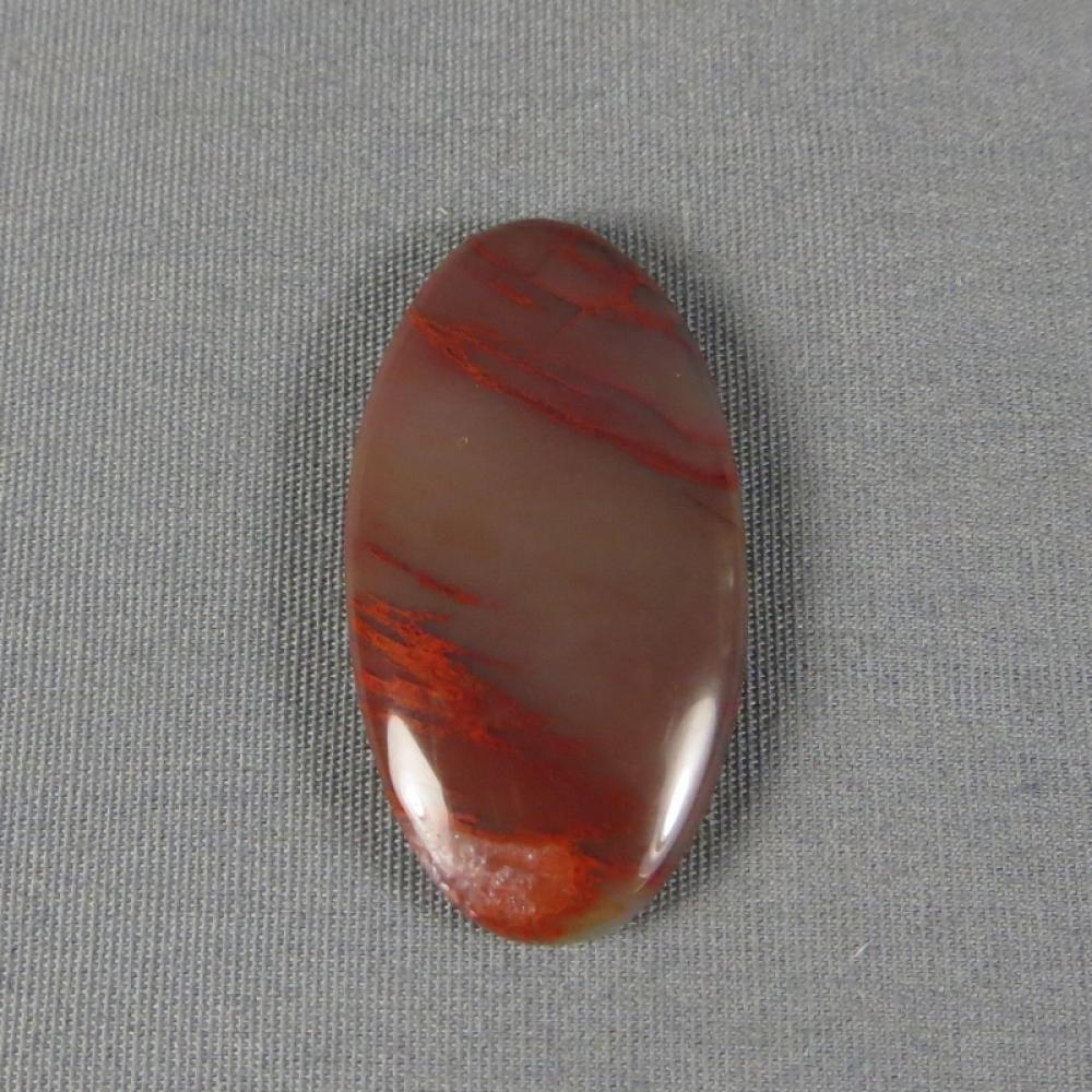 Petrified Wood Cabochon