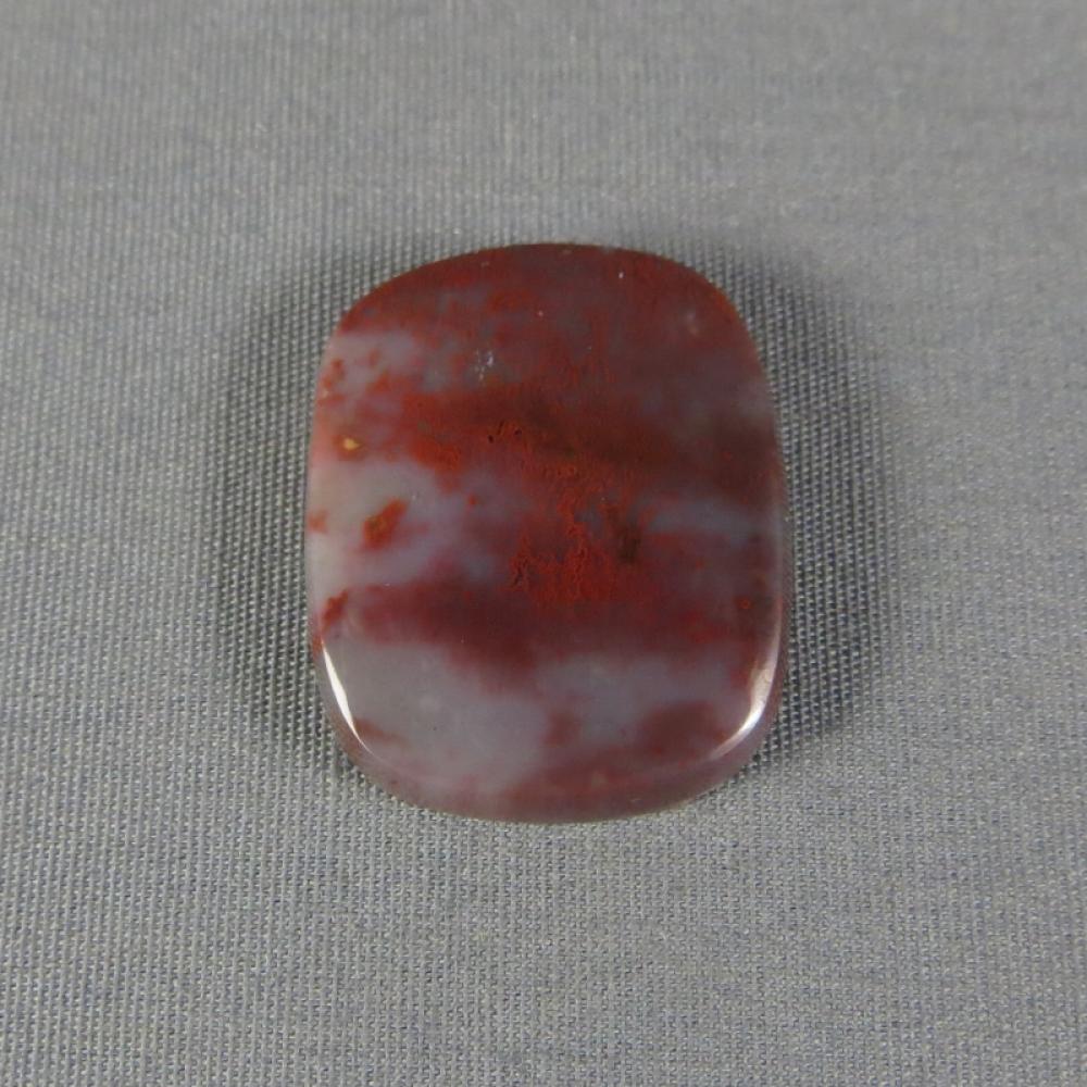 Petrified Wood Cabochon