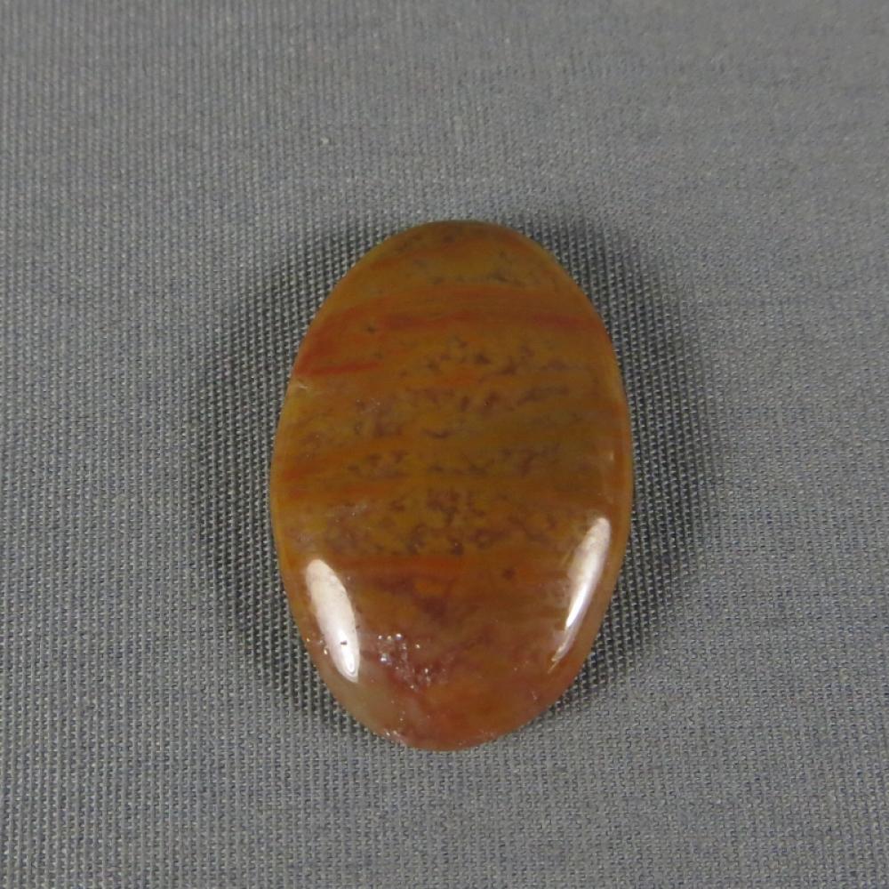 Petrified Wood Cabochon