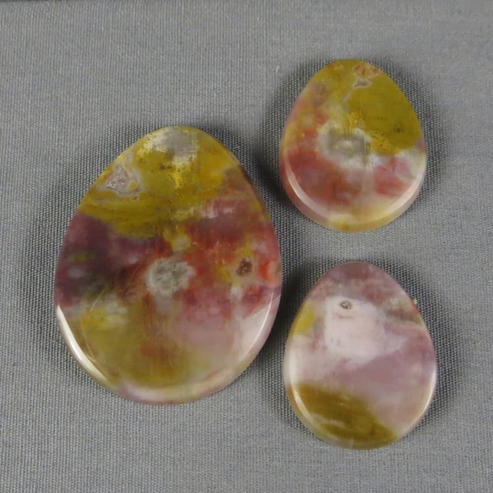 Petrified Wood Cabochon SET
