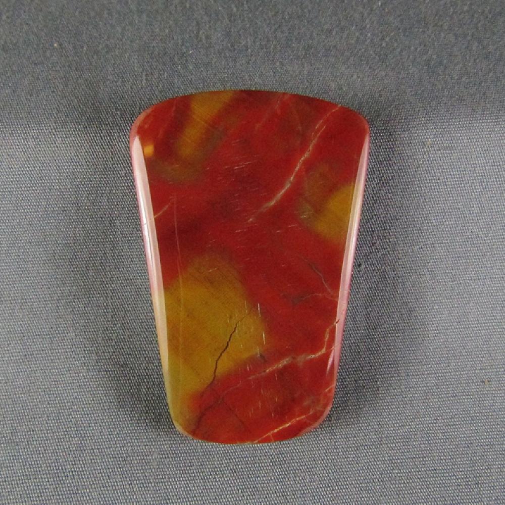 Petrified Wood Cabochon