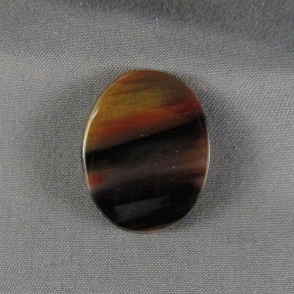 Petrified Wood Cabochon